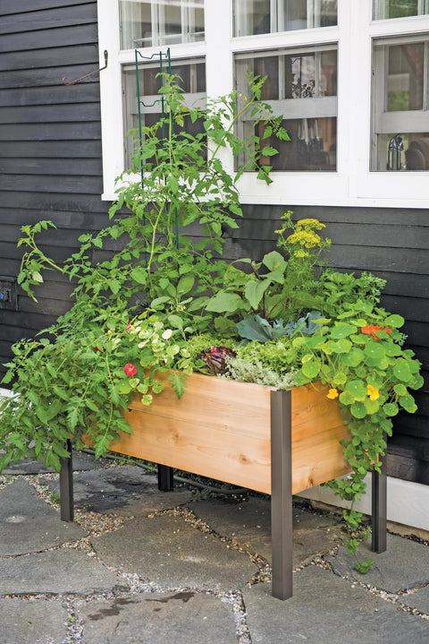  || https://assets.gardeners.com/transform/5fcb9486-b714-4299-9698-dc2f1ad4563d/8587823_8459-tif