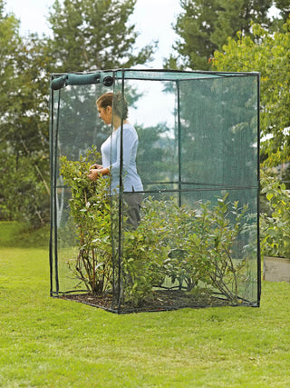  || https://assets.gardeners.com/transform/8cba40b0-62fb-4473-9355-c08c44f4222a/8587832_100-1_fruit-crop-cage-4-foot-x-4-foot-tif