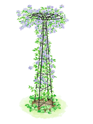  || https://assets.gardeners.com/transform/b54a0599-b085-4c1d-9f8d-9ca694c728a2/8587861_001-tif