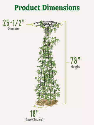  || https://assets.gardeners.com/transform/52fc5c32-4f7b-4651-849e-f6492cc99cb6/8587861_2