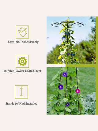  || https://assets.gardeners.com/transform/25275ef3-fbee-4b07-9bb1-74e6271313d1/8587861_6