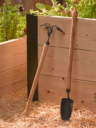  || https://assets.gardeners.com/transform/da2a0ac8-eb79-4e3a-b286-147792ed0223/8587960_147-tif