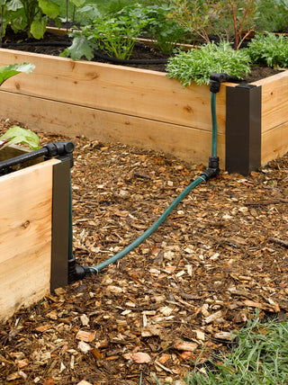  || https://assets.gardeners.com/transform/e8f1ad7f-2cbb-4f97-9278-719e015aba96/8588040_5745-tif