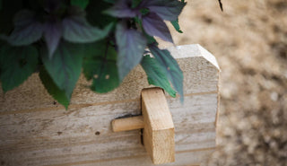  || https://assets.gardeners.com/transform/500b803d-45d5-444e-8c19-6c6c44ecdd1b/8588144_12V-tif