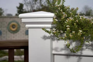  || https://assets.gardeners.com/transform/cc61cbab-ff13-42ac-a9ef-c7d4623cdb95/8588167_02V-tif