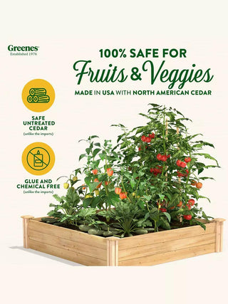  || https://assets.gardeners.com/transform/31f58f6f-cf68-467a-8d38-c56ce4cc8b65/8588176_01V_3-4