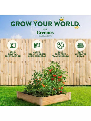  || https://assets.gardeners.com/transform/f1e0a30a-fead-4d99-8f7d-3d9044249a9c/8588176_06V_3-4
