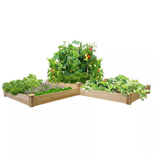  || https://assets.gardeners.com/transform/5862e875-2f5a-4224-ab0a-f132ae23772a/8588178_01V-tif