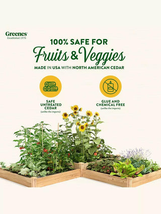  || https://assets.gardeners.com/transform/cd6abc7a-bda7-4d69-b19d-f5503fe41651/8588178_02V_3-4
