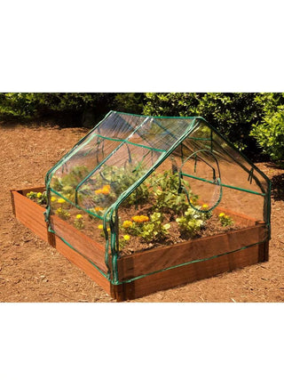  || https://assets.gardeners.com/transform/8607c9d7-3d59-4489-a6c3-ab5b97b8162e/8588247_04V