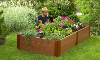 || https://assets.gardeners.com/transform/9643311a-e001-4952-a886-807794c8b61a/8588262_01V-tif