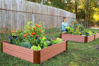  || https://assets.gardeners.com/transform/c0f1bfd7-22d1-49b1-8a52-c1fff3038c05/8588269_03V-tif