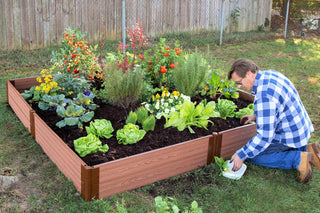  || https://assets.gardeners.com/transform/2c5b5a72-397e-411d-bfe2-88eaac2ceb2c/8588274_02V-tif