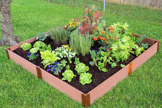  || https://assets.gardeners.com/transform/a3782137-cd7f-4a61-9dfe-3b0047ba46ff/8588274_03V-tif