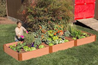  || https://assets.gardeners.com/transform/1fbac650-f1e4-4244-9e3e-223b9343ec40/8588281_01V-tif