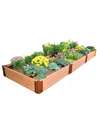  || https://assets.gardeners.com/transform/69167724-c667-4203-9623-2f456eb0530e/8588283_02V_3-4