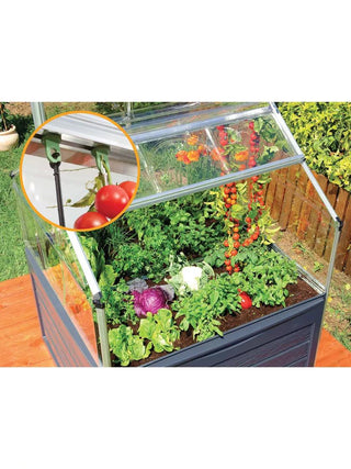  || https://assets.gardeners.com/transform/788cc71a-c935-412f-b702-d08e495b2189/8588308_17V_3-4
