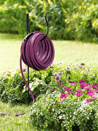  || https://assets.gardeners.com/transform/fe92397c-5957-419a-acf0-0d2279cca3c0/8588385_027-tif