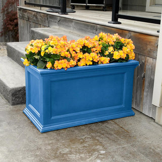  || https://assets.gardeners.com/transform/42485e64-5ad0-487d-9e53-9dd7fc25c7f9/8588417CNFL_113V-tif