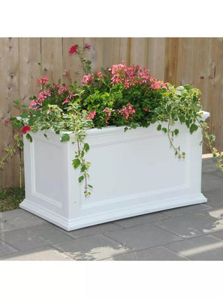  || https://assets.gardeners.com/transform/77d2e9e0-8db6-479e-ae91-51b4f75c67d5/8588417_010V