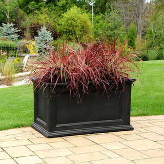  || https://assets.gardeners.com/transform/bfa192d9-5009-468e-8004-b90e3476496a/8588417_12V-tif