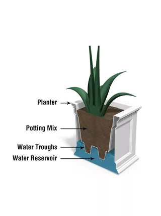  || https://assets.gardeners.com/transform/dfdb62dc-e42b-4cbe-876c-42e6324758fb/8588417_17V