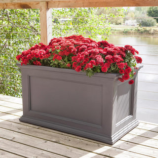  || https://assets.gardeners.com/transform/7ca856d3-83bc-474b-a582-c15c33810871/8588417_204V-tif