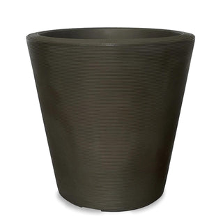  || https://assets.gardeners.com/transform/cac2e7b3-608b-40a0-8ba5-bfd6ad5b319e/8588713_MAD_BRZ_002V-tif