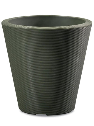  || https://assets.gardeners.com/transform/a4047e00-96e9-4982-9b36-efdb3a0c4b4f/8588713_MAD_OL_001V-tif