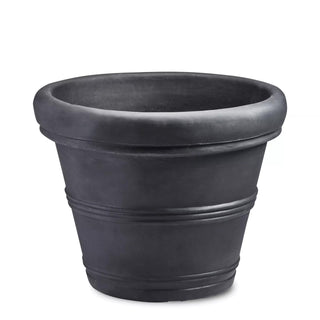  || https://assets.gardeners.com/transform/823626b0-b27c-4e23-b8cb-934be7becaad/8588724_BK_04V-tif