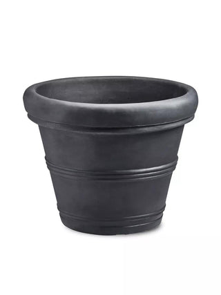  || https://assets.gardeners.com/transform/1fdc5667-7b93-47da-ac7f-9548fba844cd/8588724_BK_04V