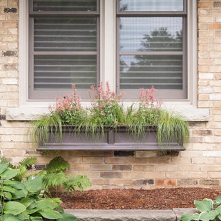  || https://assets.gardeners.com/transform/0a53f753-5db6-44d3-9926-985ea8d35f83/8588938_10V-tif