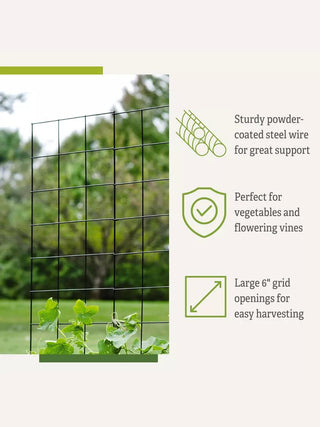  || https://assets.gardeners.com/transform/eab7015f-591e-4e86-8417-38b4165109fa/8589053_4