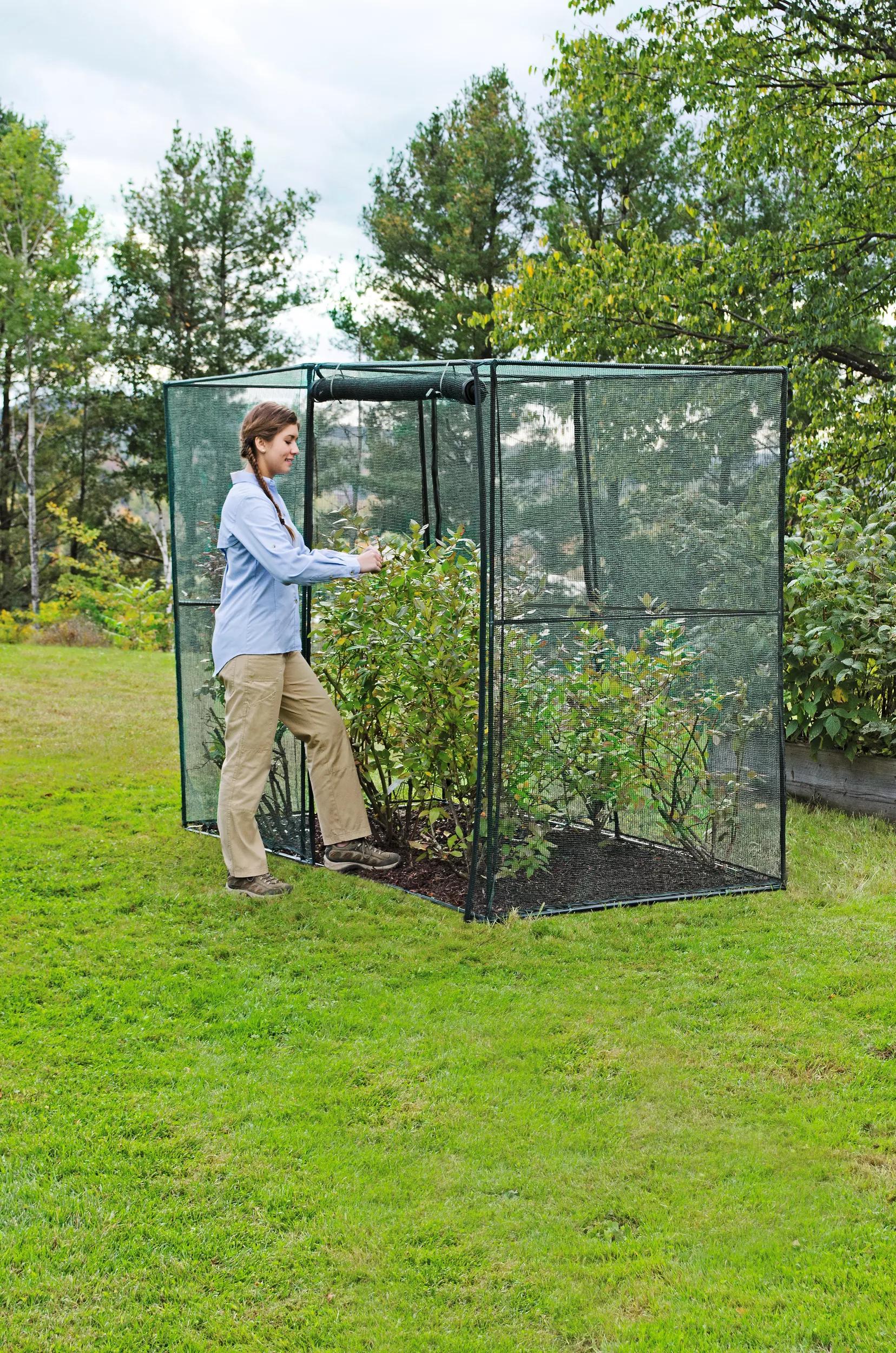 house plant cage Gardener's Supply Company Crop Cage 4 ft. x 8 ft