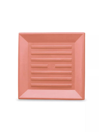  || https://assets.gardeners.com/transform/c93bf879-057d-47d2-aea1-58850773245d/8589573_TC_001V-tif