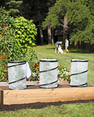  || https://assets.gardeners.com/transform/cf385758-740d-4bcc-9ff9-09b11f381c13/8589749_2212-tif