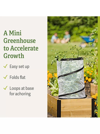  || https://assets.gardeners.com/transform/fe49d72a-8c4f-4147-b531-cc610dae3c73/8589749_feature-2