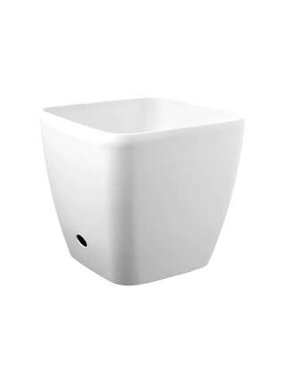  || https://assets.gardeners.com/transform/b5191936-0e9b-4586-9bd6-8ea4921acb25/8589777WT_084-tif