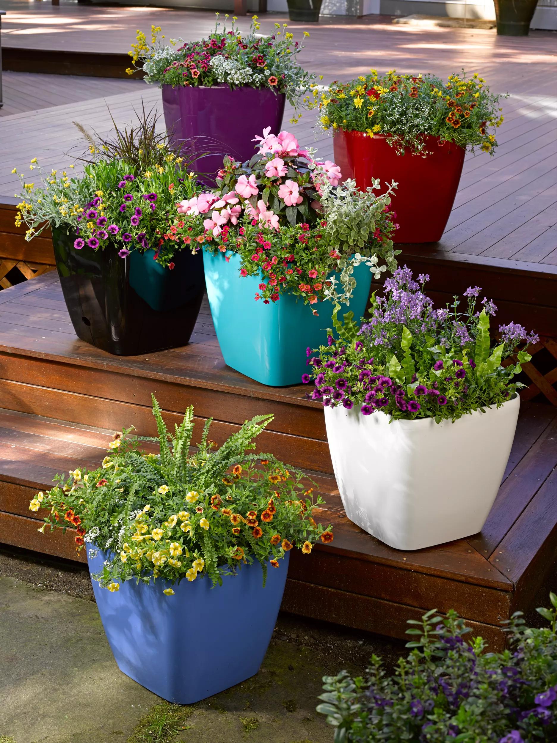 where to buy small pots for plants Viva Square Self-Watering Rolling Planter, 14" Diameter | RED