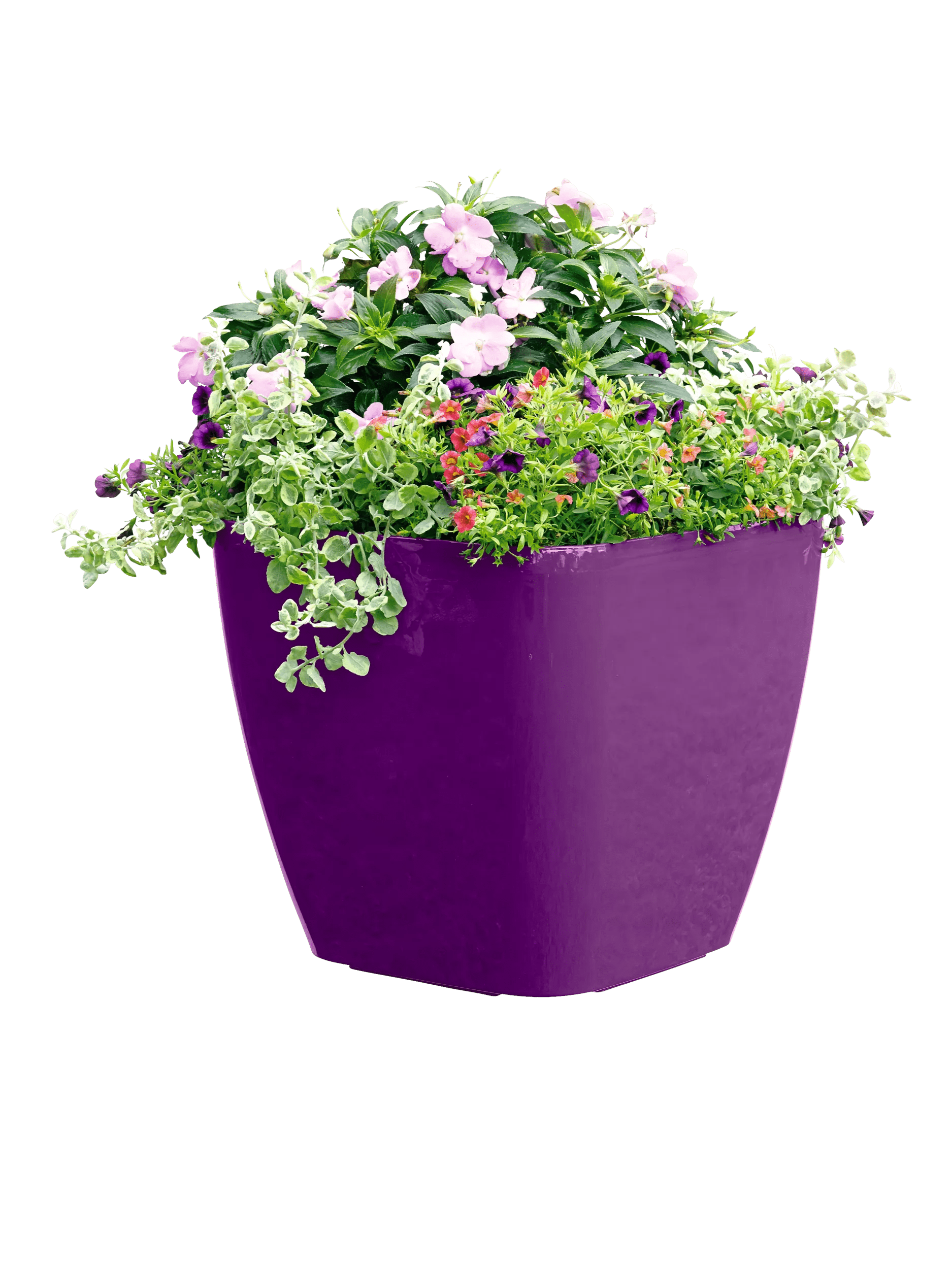 large planting pot Large Square Planters: Self-Watering Rolling Planter
