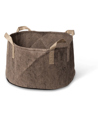  || https://assets.gardeners.com/transform/4ad7b610-e930-4891-acc1-8a5c1d6cd9bf/8589787_0022-tif