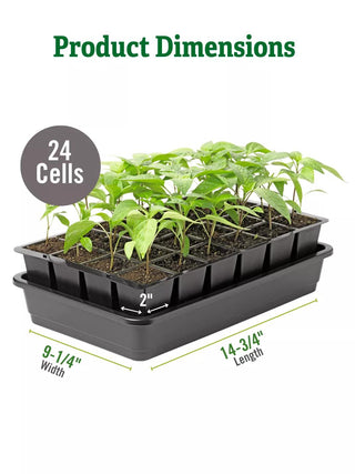  || https://assets.gardeners.com/transform/341dbd5a-c326-4d51-bcb0-e0366b355322/8589987_dims
