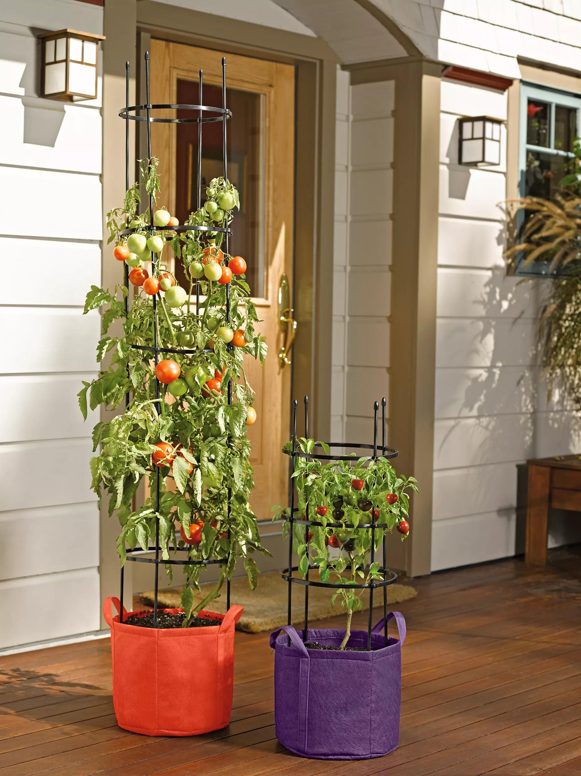 tomato planter grow bags Gardener's Best® Tomato Grow Bag Set