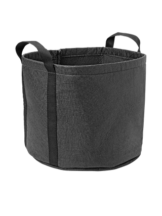  || https://assets.gardeners.com/transform/bc78745b-618b-4de6-8399-665b3c6063f9/8590024BK_028-tif