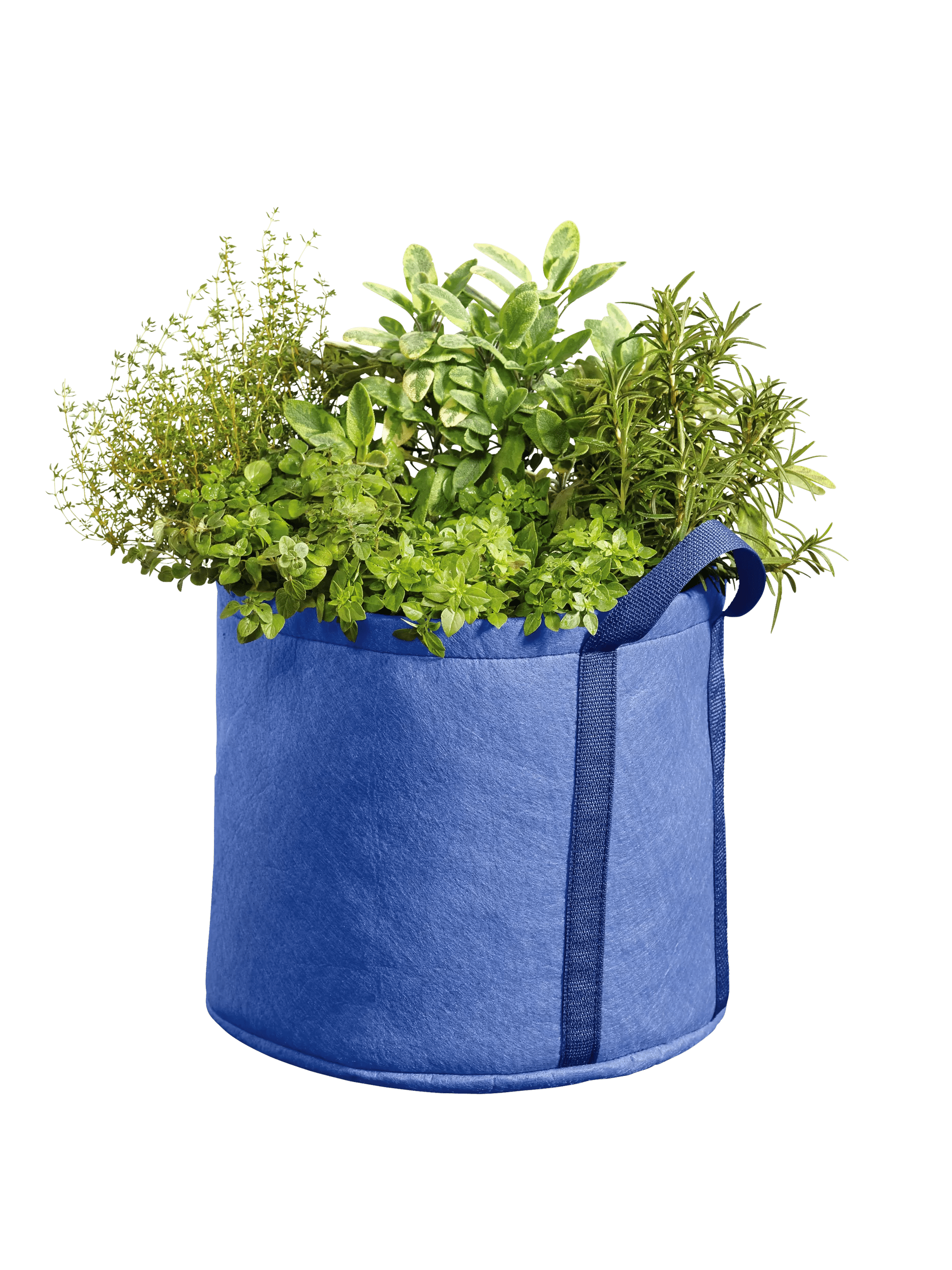 best plant grow bags Gardener's Best® Universal Grow Bag