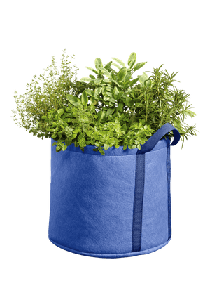  || https://assets.gardeners.com/transform/70e809be-7f7e-4176-b654-9f99f511b9bf/8590024PE_210-tif