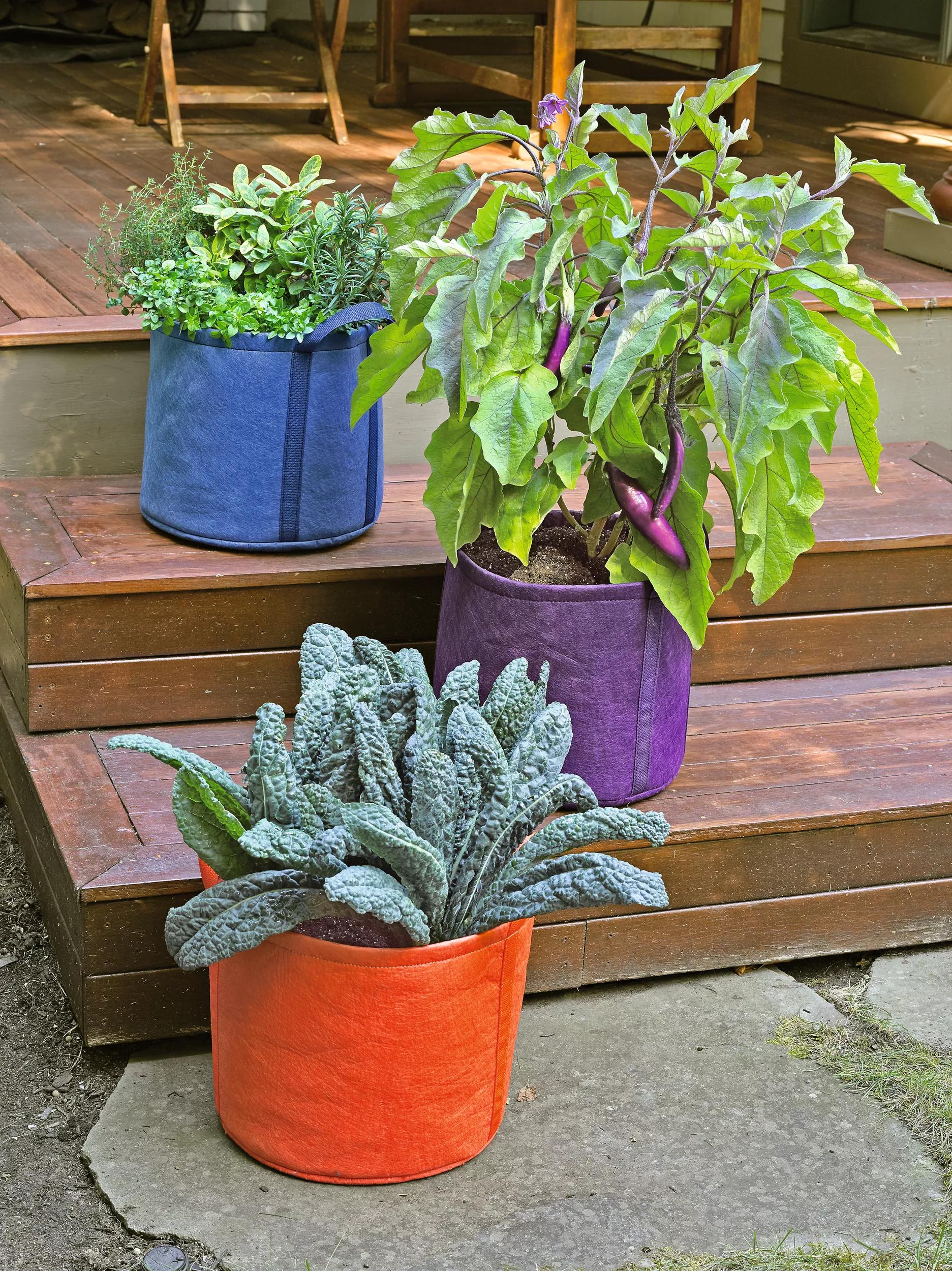 best plants to grow in grow bags Gardener's Best Universal Grow Bag | POPPY RED