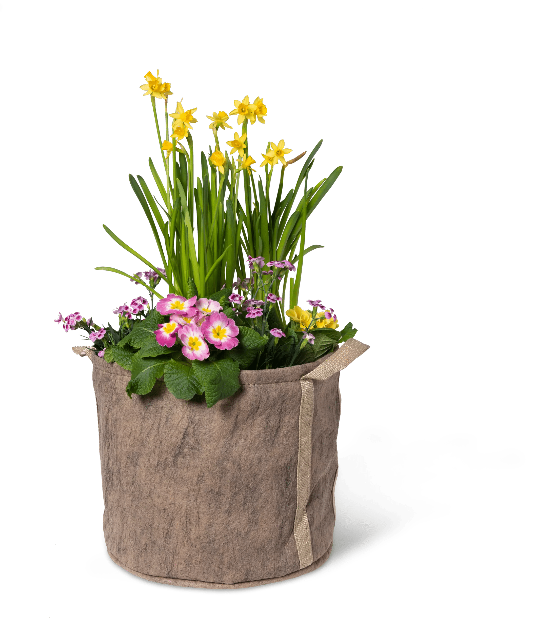honor the plant grow bags Grow Bags: Gardener's Best Universal Grow Bag