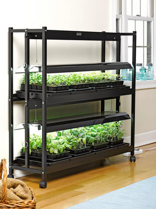  || https://assets.gardeners.com/transform/528a1260-5c0c-4815-9de1-28b3cb8226a9/8590049_2489_grow-lights-with-two-shelves-large-tif