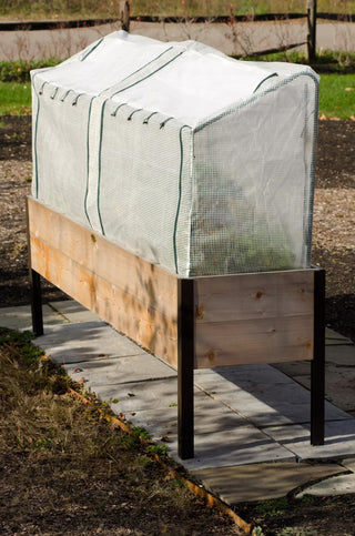  || https://assets.gardeners.com/transform/3e60b0bb-2f98-4046-8322-5c29178f94dd/8590159_6482-tif
